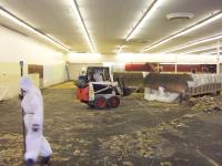 Pro Asbestos Removal Sydney image 39